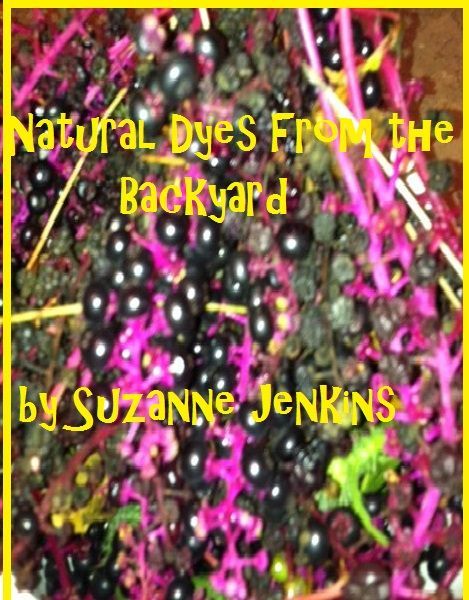 Natural Dyes From the Backyard