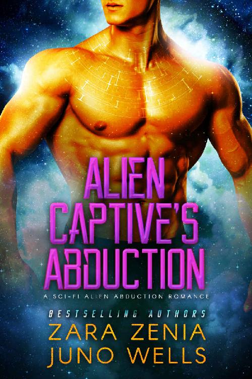 Alien Captive's Abduction