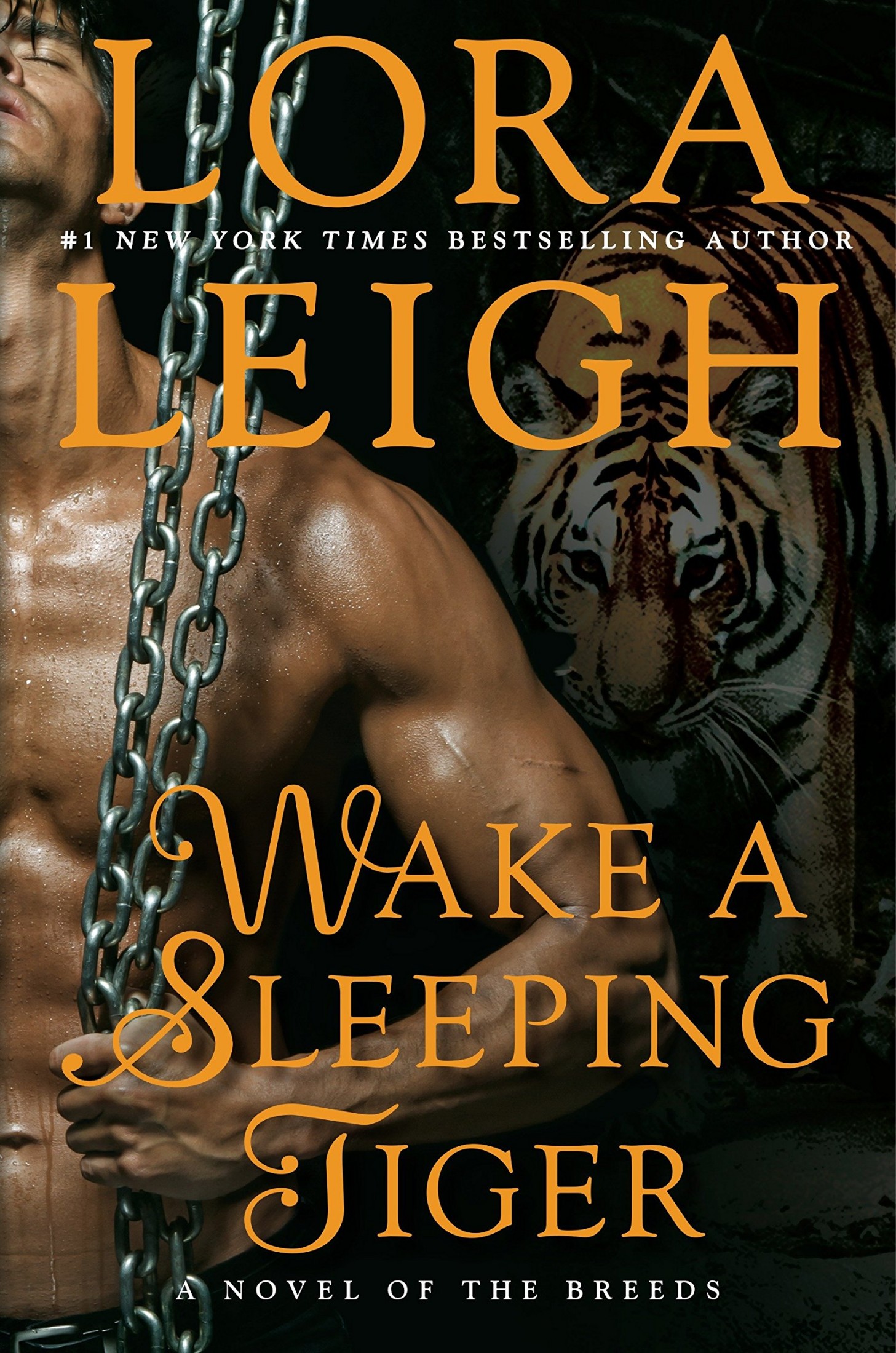 Wake a Sleeping Tiger